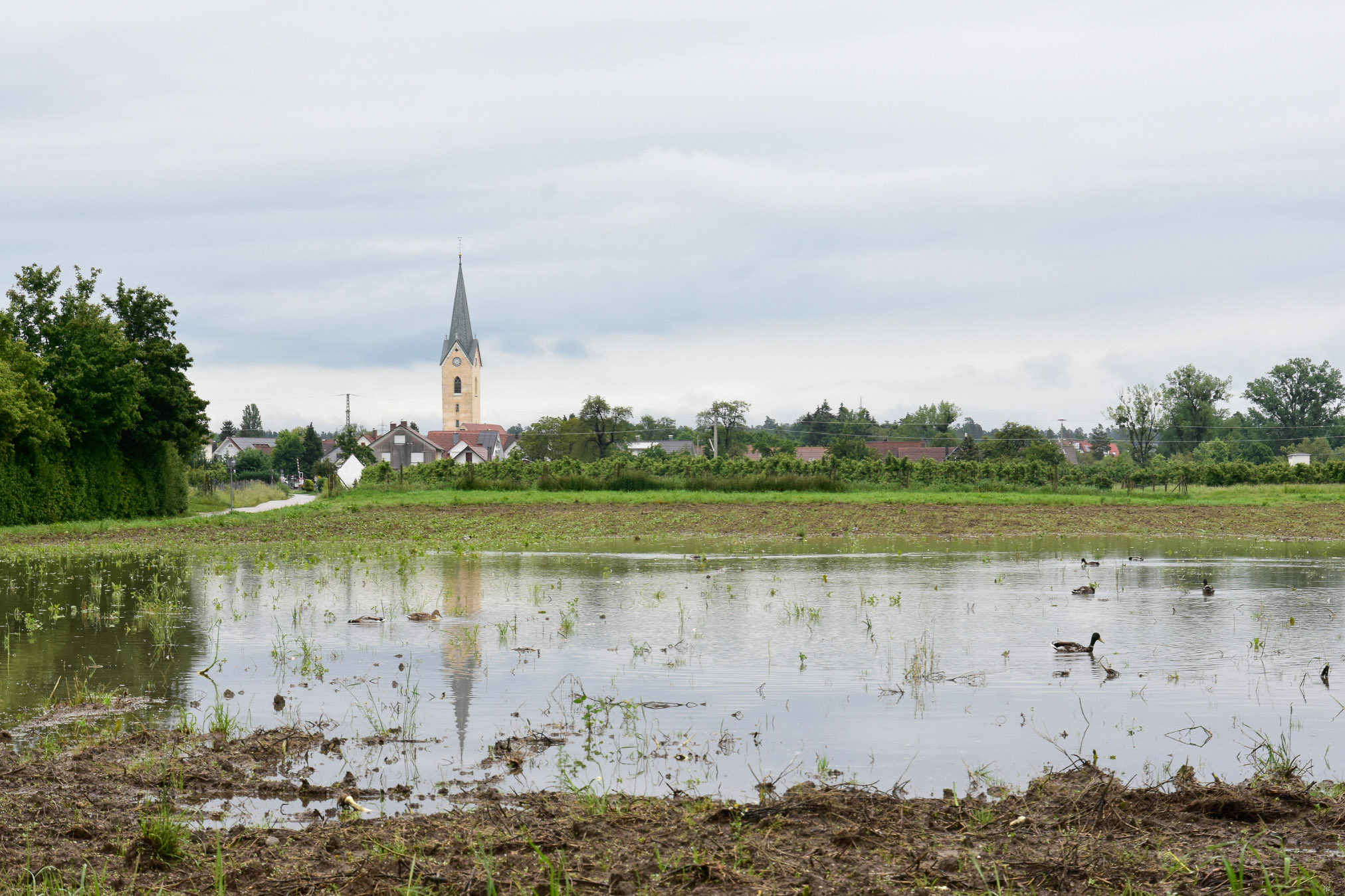 20240602073041 AOA0264